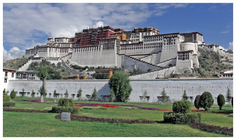 43 lhasa